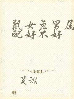 鼠女兔男属相婚配好不好