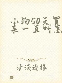 小狗50天买过来一直叫怎么办