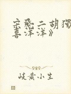 宋飞二胡独奏《喜洋洋》