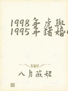 1998年虎与1995年猪婚配封面