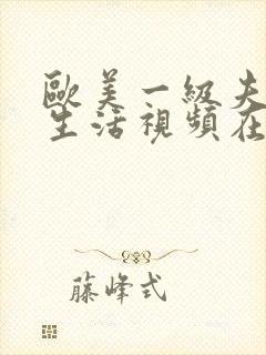 欧美一级夫妻性生活视频在线