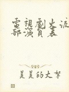 电视剧火流星全部演员表封面