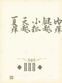 夏天小腿内侧痒痒越抓越痒有小红疙瘩封面