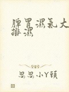 脾胃湿气大怎么排湿