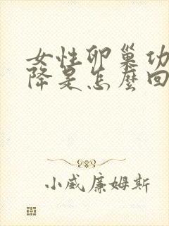 女性卵巢功能下降是怎么回事封面