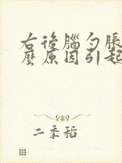 右后脑勺胀痛什么原因引起的呢封面