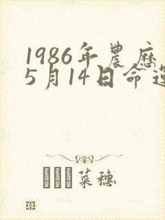 1986年农历5月14日命运