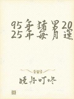 95年猪男2025年每月运势封面