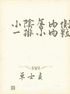 小阴唇内侧长了一排小肉粒封面