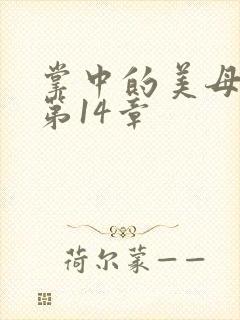 掌中的美母版主第14章