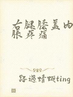 右腿膝盖内侧肿胀疼痛