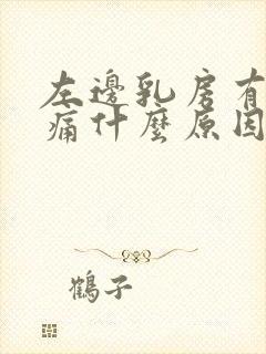 左边乳房有点胀痛什么原因