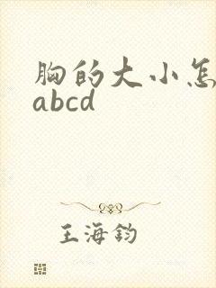 胸的大小怎么分abcd