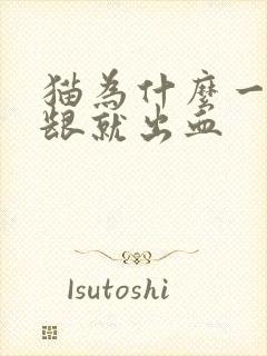 猫为什么一碰牙龈就出血封面