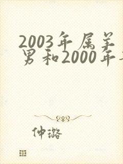 2003年属羊男和2000年龙女相配吗
