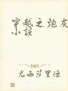 穿越之炮灰男配小说