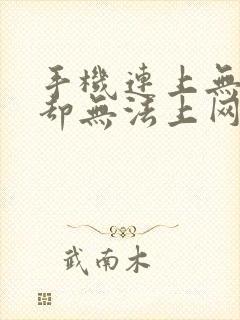 手机连上无线网却无法上网