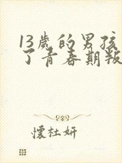 13岁的男孩到了青春期叛逆怎么教