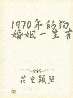1970年的狗婚姻一生有几次封面
