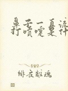 鼻子一直流鼻涕打喷嚏是什么原因