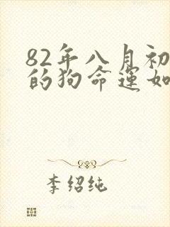 82年八月初一的狗命运如何