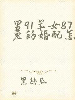 男91羊女87兔的婚配怎么样