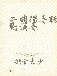 二胡独奏听松宋飞演奏