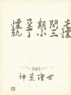 怀孕期间老公出轨了小三怀孕怎么办