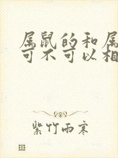 属鼠的和属鸡的可不可以相配