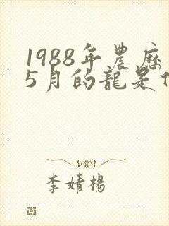 1988年农历5月的龙是什么命封面