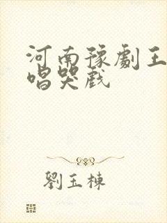 河南豫剧王红丽唱哭戏封面