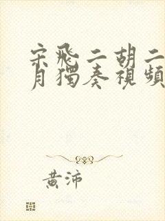 宋飞二胡二泉映月独奏视频