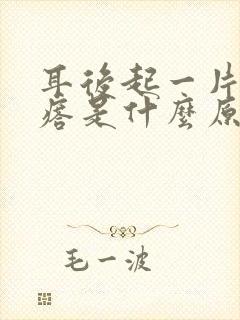 耳后起一片小疙瘩是什么原因