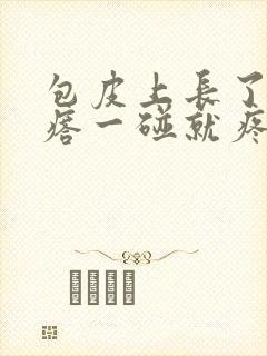 包皮上长了个疙瘩一碰就疼封面