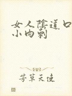 女人阴道口出现小肉刺