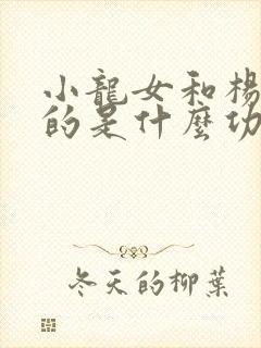 小龙女和杨过练的是什么功夫