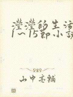滢滢的生活日记1～15节小说封面