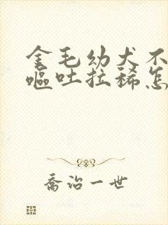 金毛幼犬不吃食呕吐拉稀怎么办