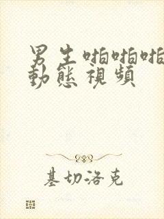 男生啪啪啪女生动态视频封面