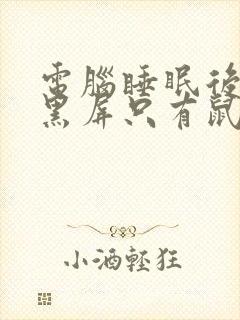 电脑睡眠后打开黑屏只有鼠标