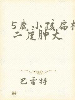 5岁小孩扁桃体二度肿大