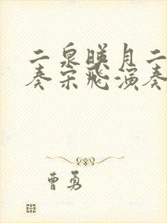 二泉映月二胡独奏宋飞演奏