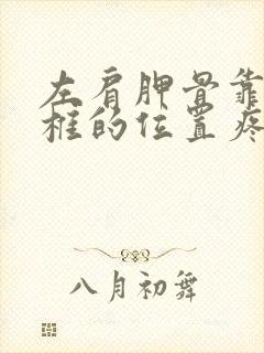 左肩胛骨靠近脊椎的位置疼