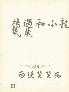 杨过和小龙女差几岁