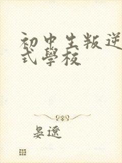 初中生叛逆封闭式学校封面