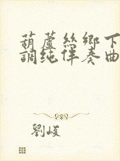 葫芦丝乡下降b调纯伴奏曲谱封面