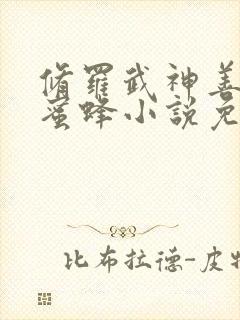 修罗武神善良的蜜蜂小说免费完整版封面