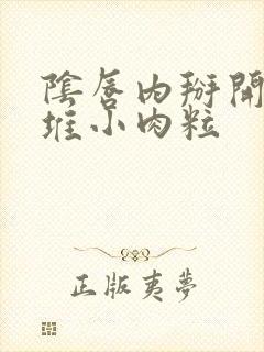 阴唇内掰开有一堆小肉粒