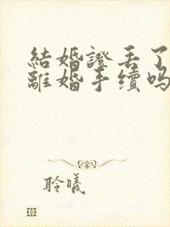 结婚证丢了能办离婚手续吗封面