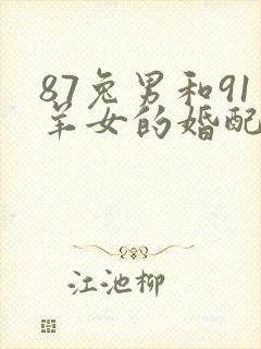 87兔男和91羊女的婚配